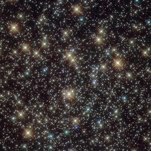 Meet your Posher, Devan